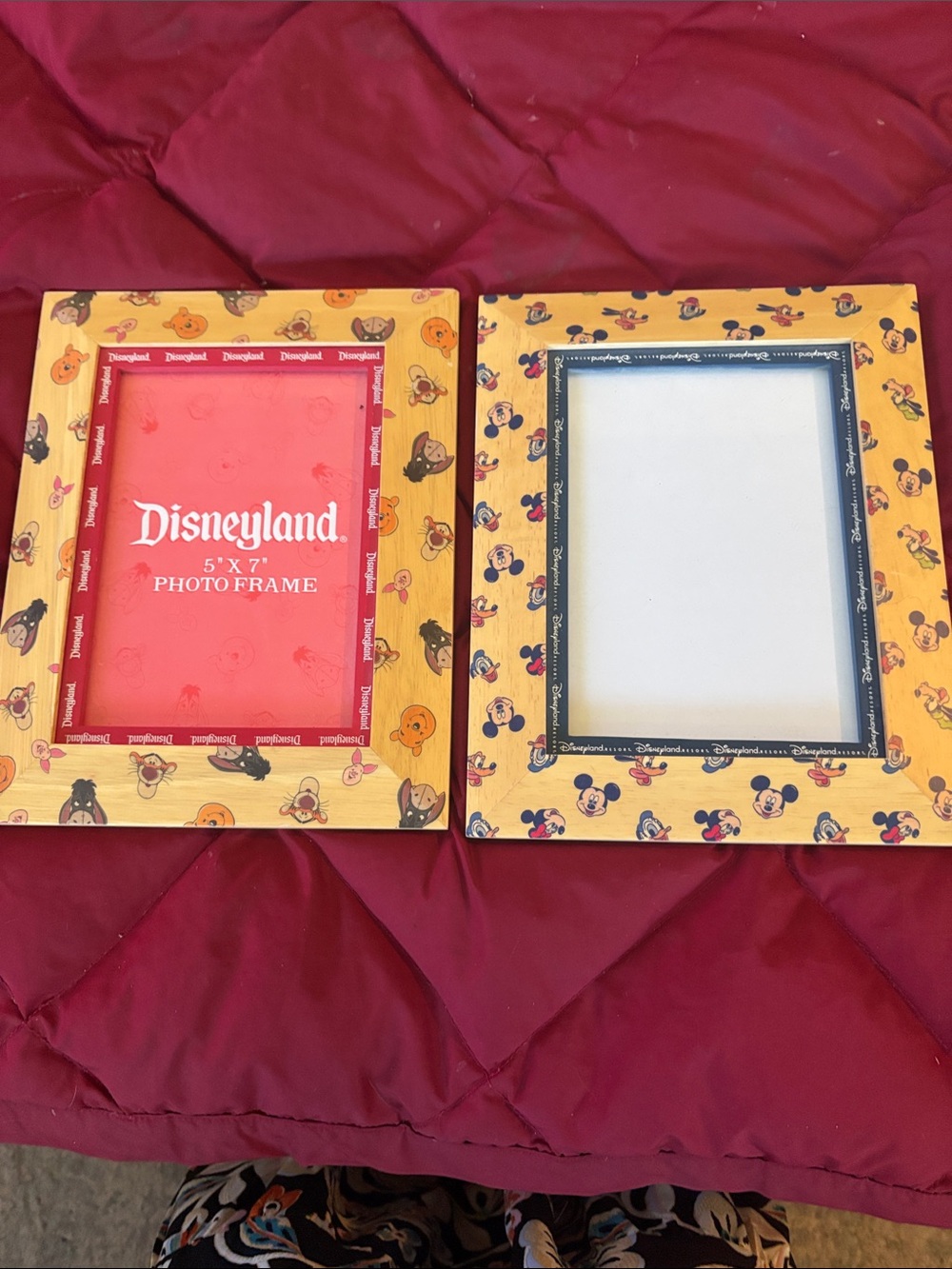 Set of two Disneyland 5 x 7 wood photo frames